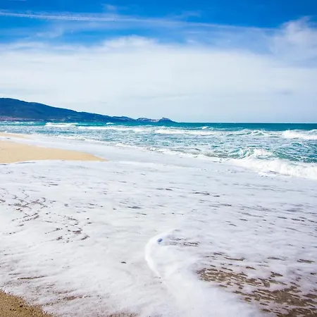 Sun & Sea *